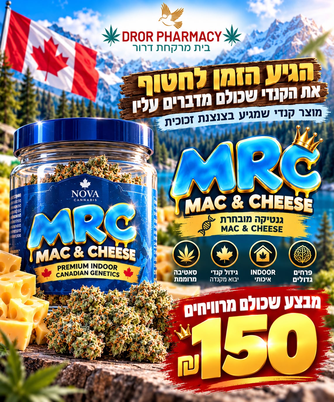 מבצע mac&cheese