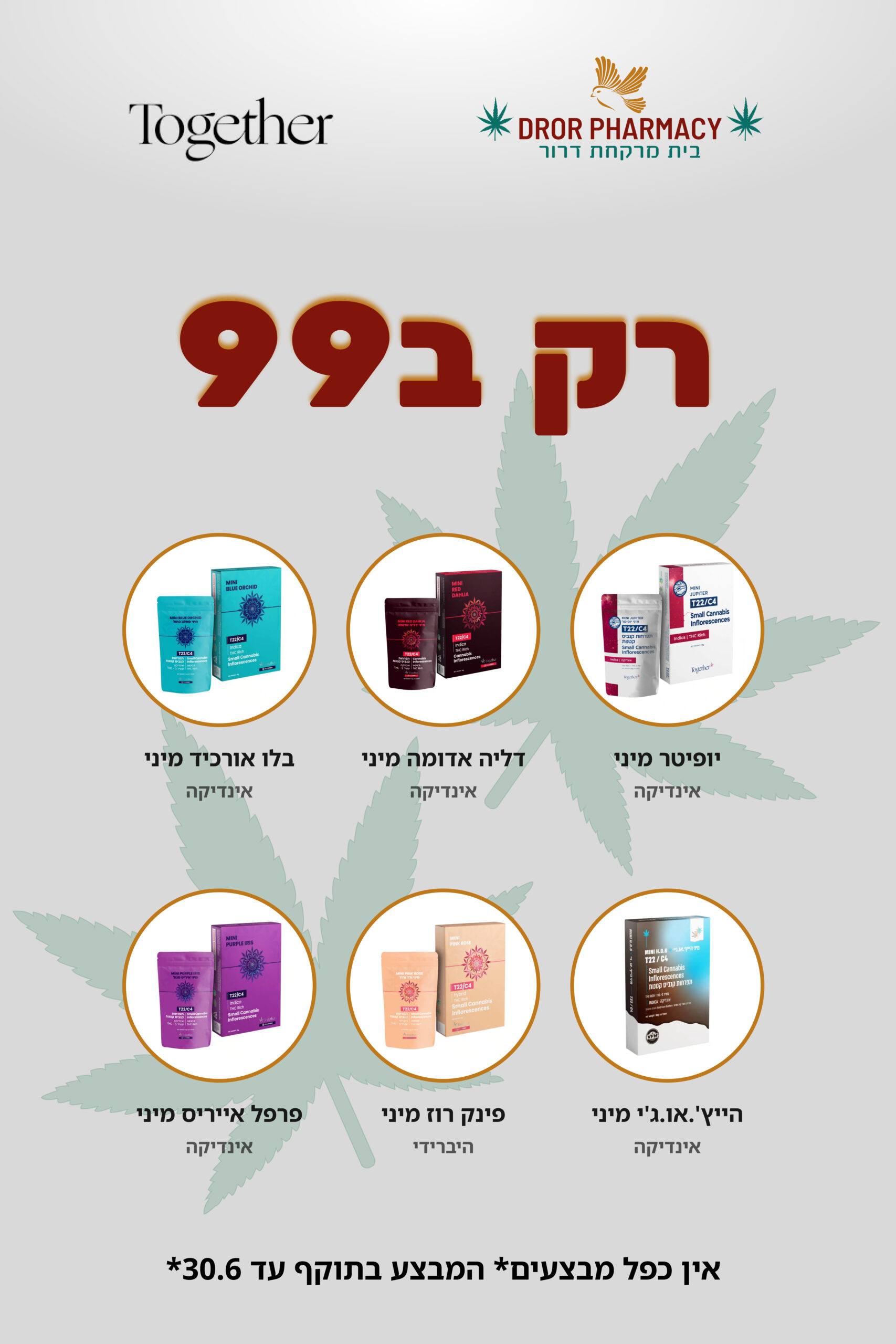 זני טוגדר ב99